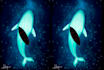 illustrations of the ocean, fish and marine animals