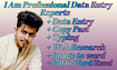 do data entry b2b lead generation and web research expert