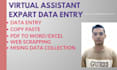 do excel data entry and copy paste job
