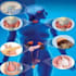 help in endocrinology neurology oncology gynecology dermatology