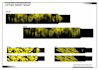 create modern fitness gear design for wrist wrap and belts