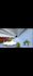 create a 3d animated,rendering ,effect video of your character model