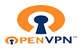 setup datadog and free openvpn server on AWS
