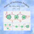 help you in projects of finite automata theory regular expression turing machine