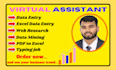 do your virtual assistant, excel data entry and copy paste