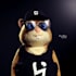 create hyper realistic 3d nft collection