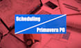 teach you professional scheduling using primavera p6