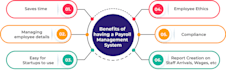 do your accounting, payroll management and bookkeeping