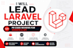 lead laravel project, PR code reviews for website and API