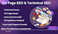 advanced on page SEO for google ranking and technical