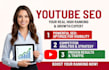 youtube video SEO expert for real high ranking
