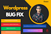 do wordpress website issues fixing and customization