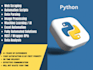 do your python coding projects, debug and fix your code