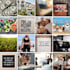 create a custom vision board for your goals