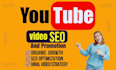 do organic youtube video SEO promotion expert, channel monetization manager