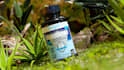 design natural 3d product animation with plants