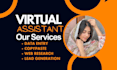 do any virtual assistant, data entry and web research job