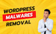recover hacked websites, remove wordpress malware and secure website