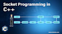 do socket programming expert tcp IP, python, network programming