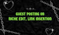 do niche edits link insertions in high da traffic websites