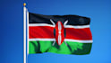provide professional services from kenya