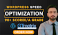 boost wordpress speed optimization with wp rocket and litespeed cache