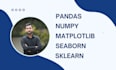 do anything related to data with python, pandas, numpy, matplotlib, sklearn