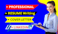 do professional resume writing, cv maker, resume maker,
