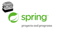 develop custom java spring web applications