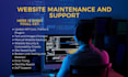 do monthly wordpress website maintenance, update and support