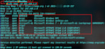 provide a vulnerability assessment activity and create a report for your domains