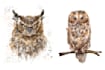 paint animals watercolor or digital illustration