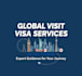 more expert visa consultant