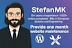 provide one month website maintenance