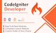 develop, modify and fix your codeigniter web application