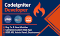 build and fix your codeigniter web app with bug free delivery
