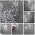 drawing  modern abstract hand panting