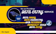 be you te best data entry ,data mining services