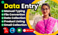 do data entry typing work jobs, excel data entry, copy paste, PDF conversion