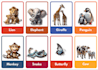 create flash cards and facts cards on any niche
