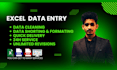 do excel data cleaning, organize, merge, format and lookups