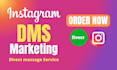 do instagram promotion and direct massages or dms to targeted audience