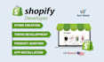 build a shopify website, dropshipping shopify store