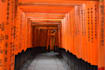 be your japanese language teacher
