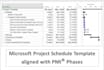 provide a ms project schedule aligned to pmi