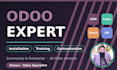 provide expert odoo installation, training and customization services