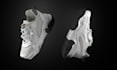 photorealistic 3d shoes modeling