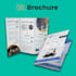design a brochure and flyer