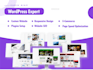 build a professional blog or news website in wordpress