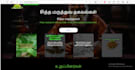 develop a website feel free to contact me
